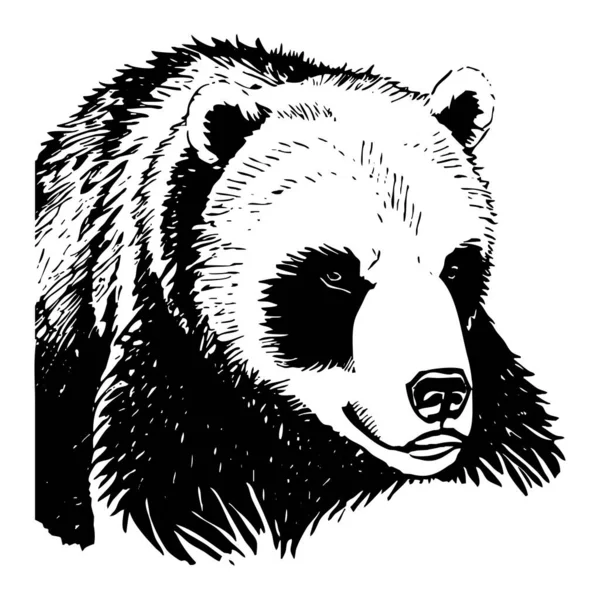 Αρκούδα Ασπρόμαυρα Γραφικά Σχεδιασμός Λογότυπου Για Χρήση Γραφικά Αποτύπωμα Shirt — Φωτογραφία Αρχείου