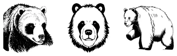 곰이요 검은색과 그래픽 그래픽에서 사용하기위한 디자인 티셔츠 디자인 — 스톡 사진