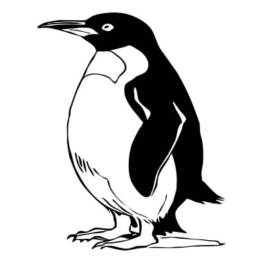 Penguen. Siyah beyaz grafikler. Grafiklerde kullanmak için logo tasarımı. Tişört izi, dövme tasarımı.. 