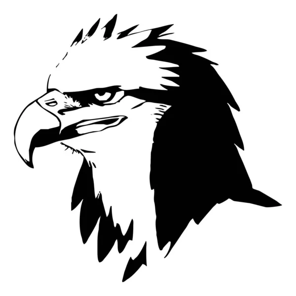 Орел Чорно Біла Графіка Дизайн Логотипу Використання Графіці Футболка Дизайн — стокове фото