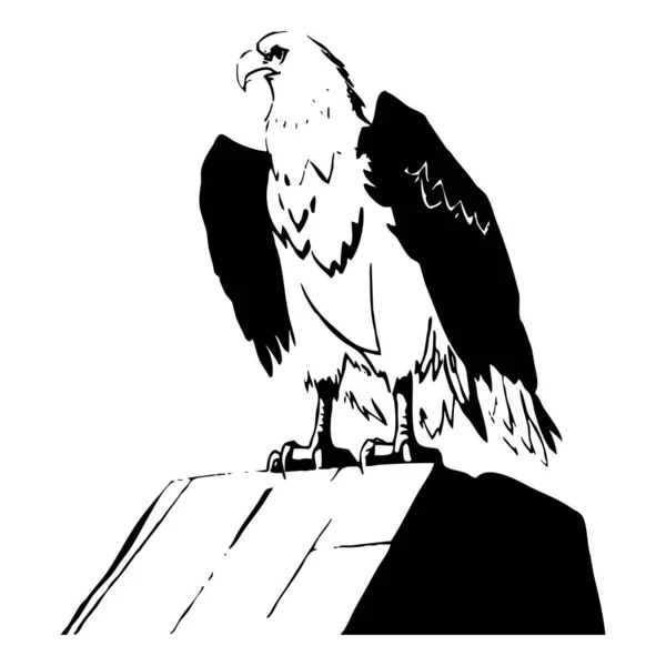 Orzeł Czarno Biała Grafika Projekt Logo Stosowania Grafice Odcisk Koszulki — Zdjęcie stockowe
