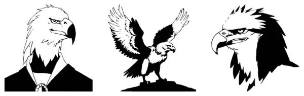 Adelaar Zwart Wit Afbeeldingen Logo Ontwerp Voor Gebruik Graphics Shirt — Stockfoto