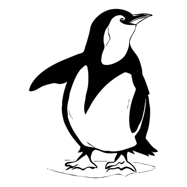 Penguen Siyah Beyaz Grafikler Grafiklerde Kullanmak Için Logo Tasarımı Tişört — Stok fotoğraf