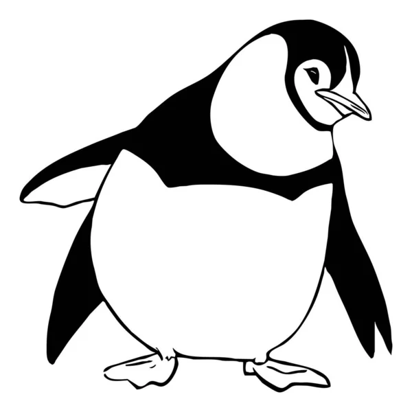Pingüino Gráficos Blanco Negro Diseño Logotipo Para Uso Gráficos Impresión —  Fotos de Stock
