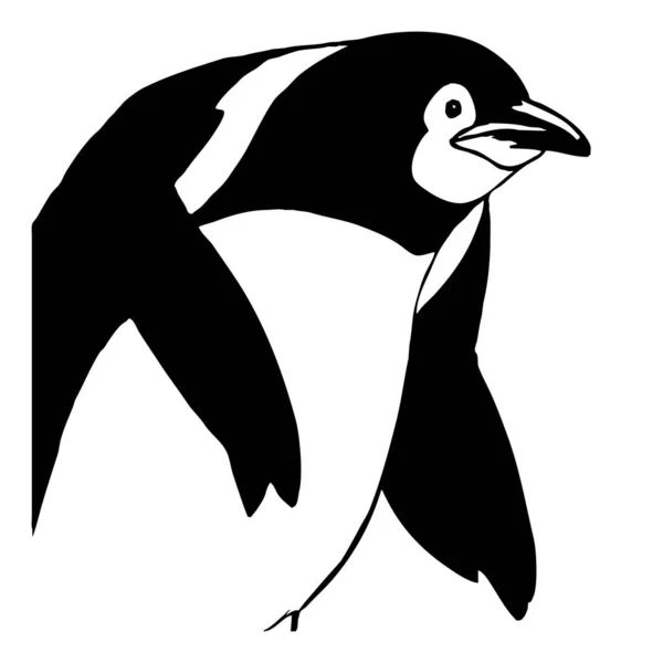Pingvin Fekete Fehér Grafika Logótervezés Grafikában Történő Felhasználásra Pólólenyomat Tetoválás — Stock Fotó