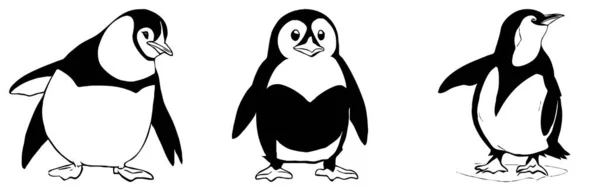 Tučňák Černobílá Grafika Návrh Loga Pro Použití Grafice Tisk Trička — Stock fotografie
