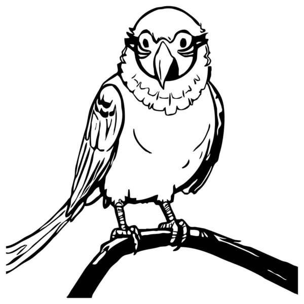 Papuga Czarno Biała Grafika Projekt Logo Stosowania Grafice Odcisk Koszulki — Zdjęcie stockowe