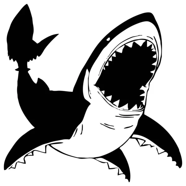 Requin Graphiques Noir Blanc Conception Logo Pour Une Utilisation Dans — Photo