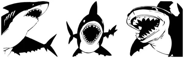 Shark . Black and white graphics. Logo design for use in graphics. T-shirt print, tattoo design.
