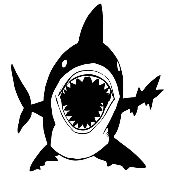Köpekbalığı Siyah Beyaz Grafikler Grafiklerde Kullanmak Için Logo Tasarımı Tişört — Stok fotoğraf