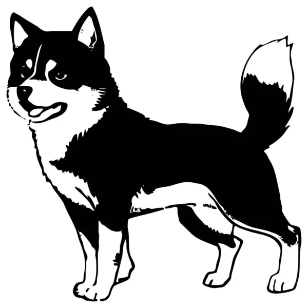 Cão Shiba Inu Gráficos Preto Branco Design Logotipo Para Uso — Fotografia de Stock