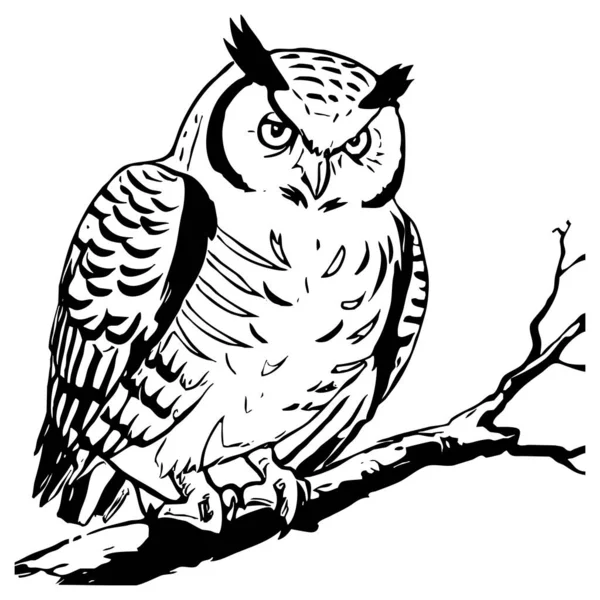 Owl Grafica Alb Negru Designul Logo Ului Pentru Utilizare Grafică — Fotografie, imagine de stoc