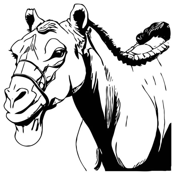 Camel . Black and white graphics. Logo design for use in graphics. T-shirt print, tattoo design.