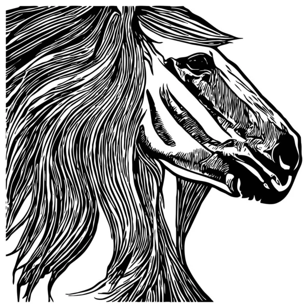Caballo Negro Sobre Fondo Blanco Arte Línea Animal Diseño Logotipo — Foto de Stock