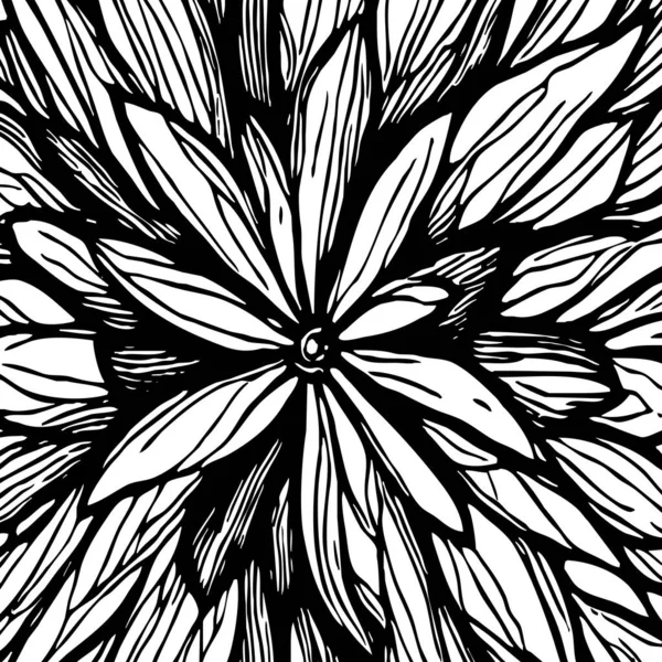 黒と白の植物パターン グラフィック 材料の使用のため — ストック写真