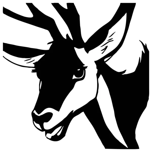 Ilustracja Zwierzęcia Czarna Gazela Białym Tle — Zdjęcie stockowe