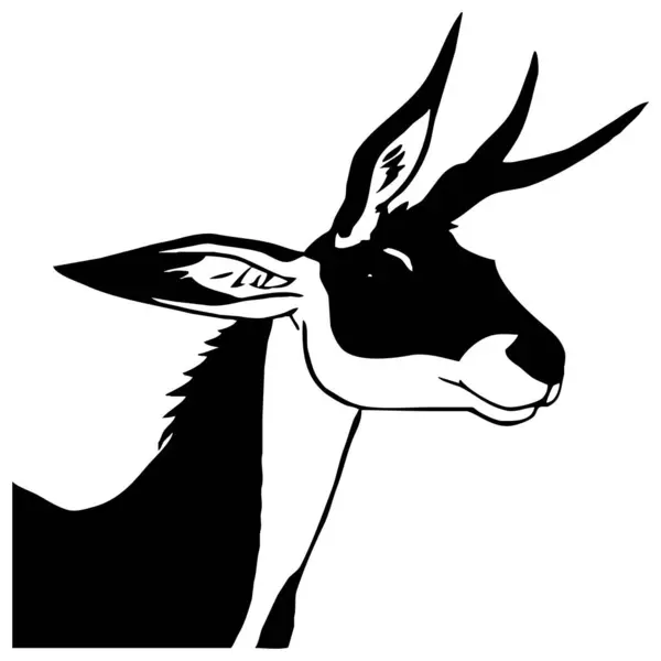 Animal Illustration Schwarze Gazelle Auf Weißem Hintergrund — Stockfoto