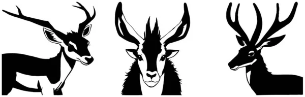 Animal Illustration Black Gazelle White Background — Stock Photo, Image