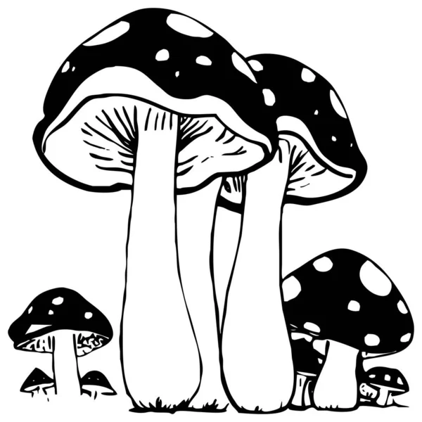Mushrooms . Black and white line art. Logo design for use in graphics. T-shirt print, tattoo design.