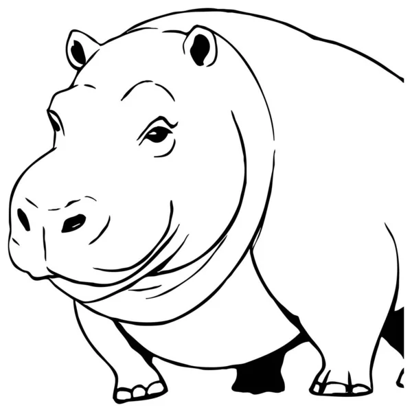 Hipopótamo Arte Línea Blanco Negro Diseño Logotipo Para Uso Gráficos — Foto de Stock