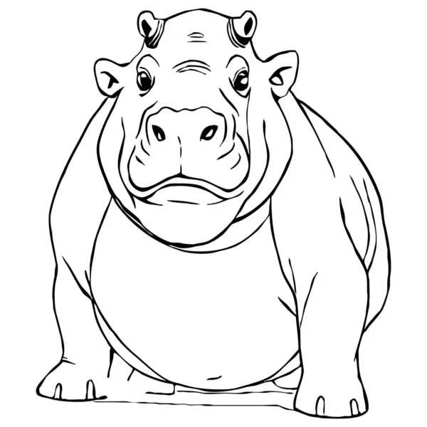 Hippopotamus Black White Line Art Logo Design Use Graphics Shirt — Stock Photo, Image
