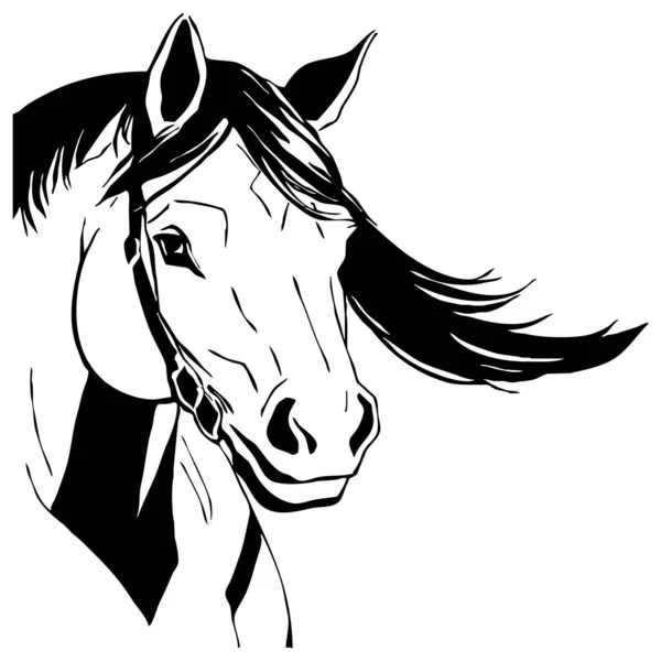 Černý Kůň Bílém Pozadí Zvířecí Linie Návrh Loga Pro Použití — Stock fotografie