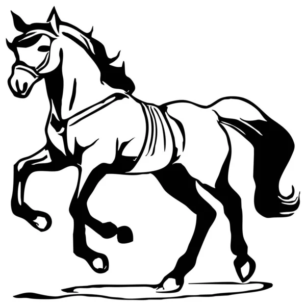 Musta Hevonen Valkoisella Taustalla Eläinlinjataidetta Logo Suunnittelu Käytettäväksi Grafiikassa Tulosta — kuvapankkivalokuva