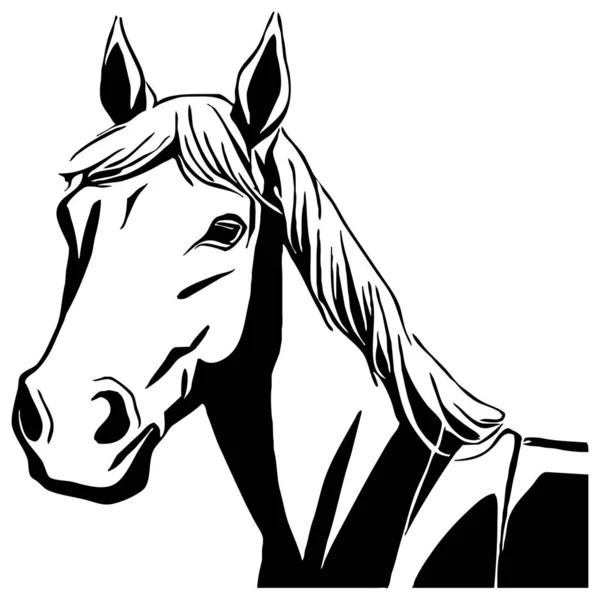Svart Häst Vit Bakgrund Djurkonst Logotypkonstruktion För Användning Grafik Tryck — Stockfoto