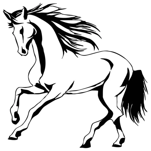 Musta Hevonen Valkoisella Taustalla Eläinlinjataidetta Logo Suunnittelu Käytettäväksi Grafiikassa Tulosta — kuvapankkivalokuva