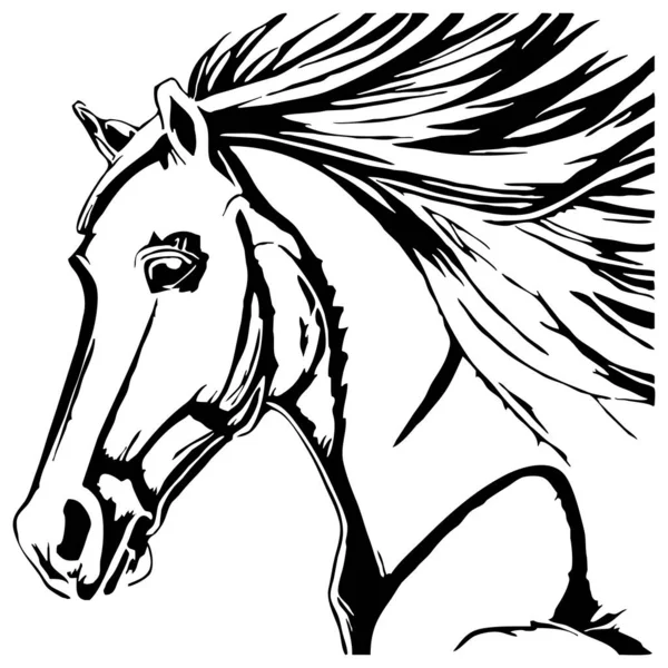 Cavalo Preto Sobre Fundo Branco Arte Linha Animal Design Logotipo — Fotografia de Stock