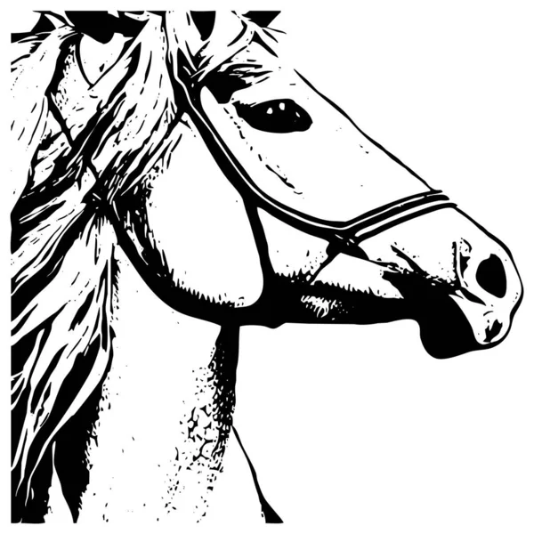 Beyaz Arka Planda Siyah Hayvan Çizgisi Sanatı Logo Tasarımı Grafiklerde — Stok fotoğraf