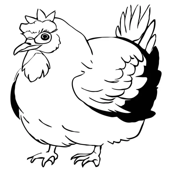 Kippen Zwart Wit Lijn Kunst Logo Ontwerp Voor Gebruik Graphics — Stockfoto