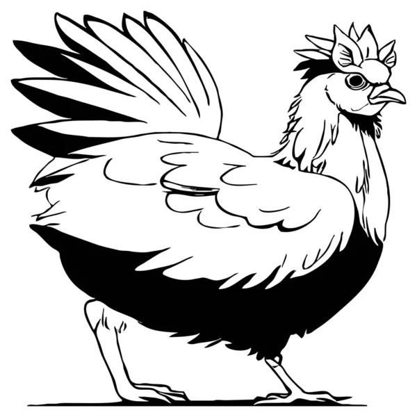 Курица Черно Белая Линия Искусства Логотип Использования Графике Отпечаток Футболки — стоковое фото
