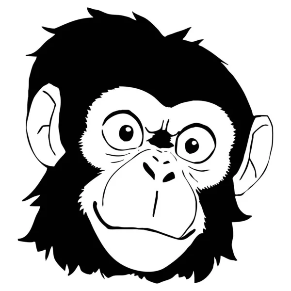 Μαϊμού Μαύρη Και Άσπρη Γραμμή Τέχνης Σχεδιασμός Λογότυπου Για Χρήση — Φωτογραφία Αρχείου