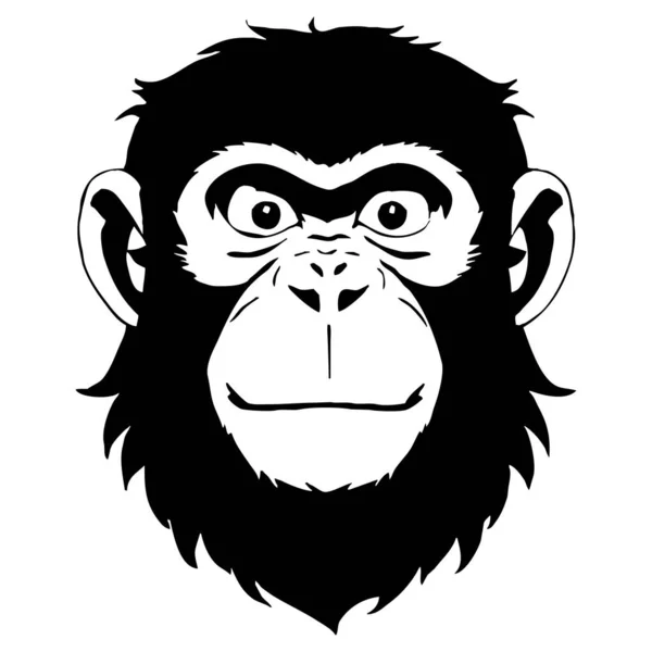 Monyet Seni Garis Hitam Dan Putih Logo Desain Untuk Digunakan — Stok Foto