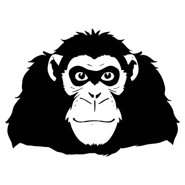 Macaco Arte Linha Preta Branca Design Logotipo Para Uso Gráficos — Fotografia de Stock