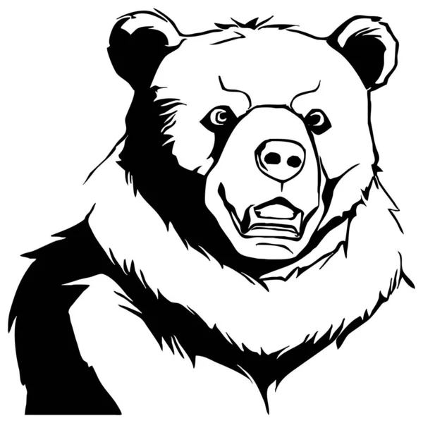 Bear Black White Graphics Logo Design Use Graphics Shirt Print — Stock Photo, Image