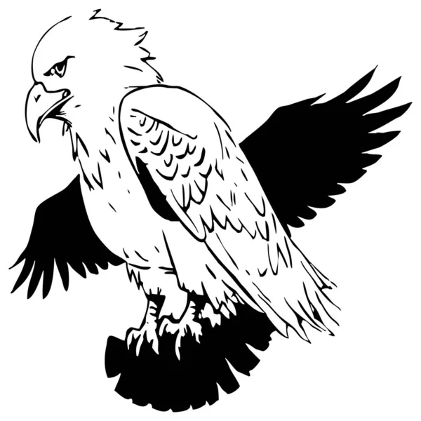 イーグル 黒と白のグラフィック グラフィックで使用するためのロゴデザイン Tシャツプリント タトゥーデザイン — ストック写真