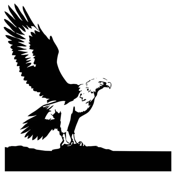 Eagle Black White Graphics Logo Design Use Graphics Shirt Print — Stock Photo, Image
