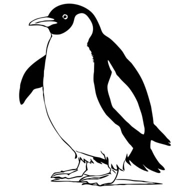 Penguen. Siyah beyaz grafikler. Grafiklerde kullanmak için logo tasarımı. Tişört izi, dövme tasarımı.. 