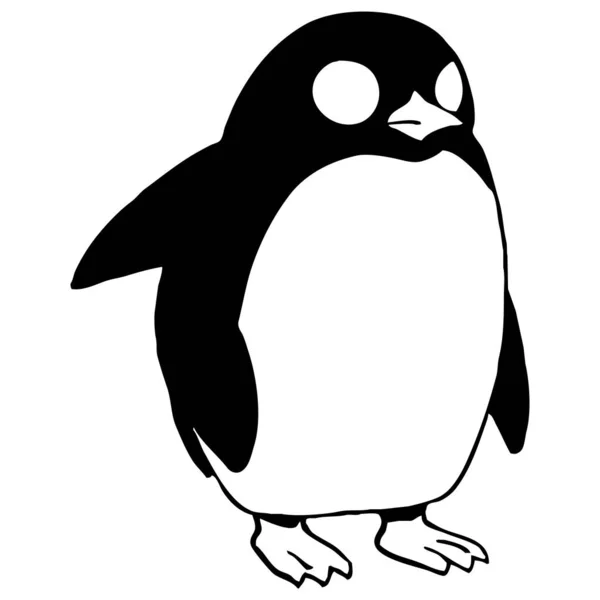Pingvinen Svart Och Vit Grafik Logotypdesign För Användning Grafik Shirt — Stockfoto