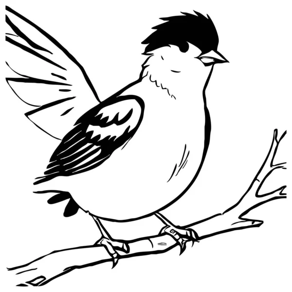 Pájaro Negro Sobre Fondo Blanco Animales Línea Arte Diseño Logotipo —  Fotos de Stock