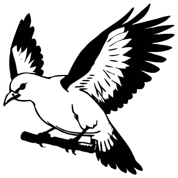 Чорний Птах Білому Тлі Мистецтво Лінії Тварин Дизайн Логотипу Використання — стокове фото
