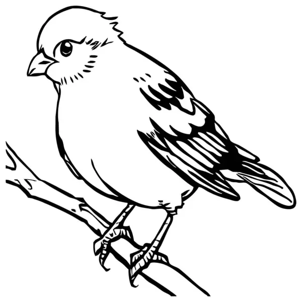 Svart Fågel Vit Bakgrund Djur Linje Konst Logotypdesign För Användning — Stockfoto
