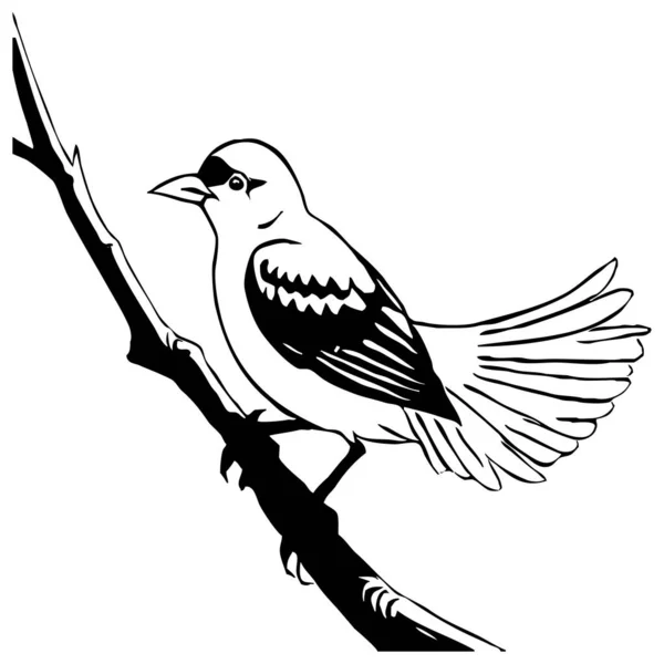 黒い鳥が白い背景に 動物のラインアート グラフィックで使用するためのロゴデザイン Tシャツプリント タトゥーデザイン — ストック写真