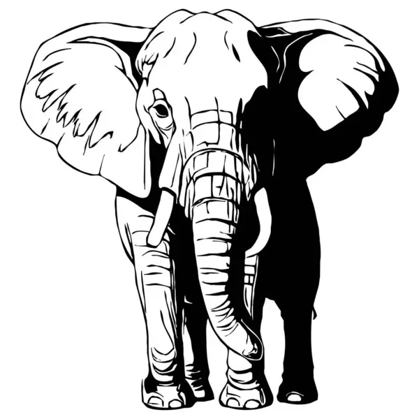 白い背景にある黒い象 アニマルラインアート グラフィックで使用するためのロゴデザイン Tシャツ用プリント タトゥー用パターン — ストック写真