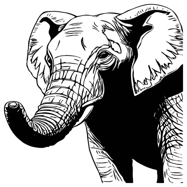 白色背景上的黑象 动物线条艺术 标志设计 用于图形 T恤衫印刷 纹身图案 — 图库照片