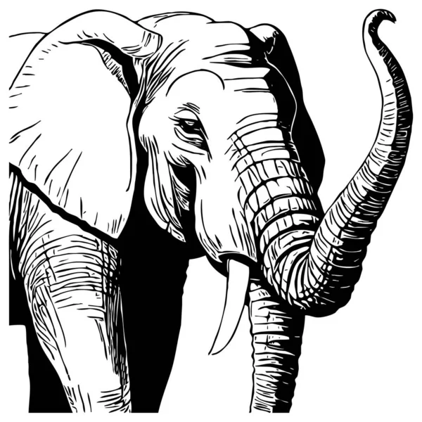 Černý Slon Bílém Pozadí Zvířecí Linie Návrh Loga Pro Použití — Stock fotografie