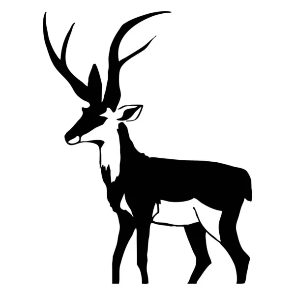 Gazelle Noire Sur Fond Blanc Illustration Animale — Photo