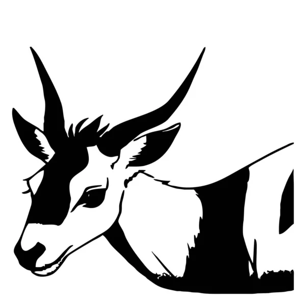 Black Gazelle White Background Animal Illustration — Stock Photo, Image